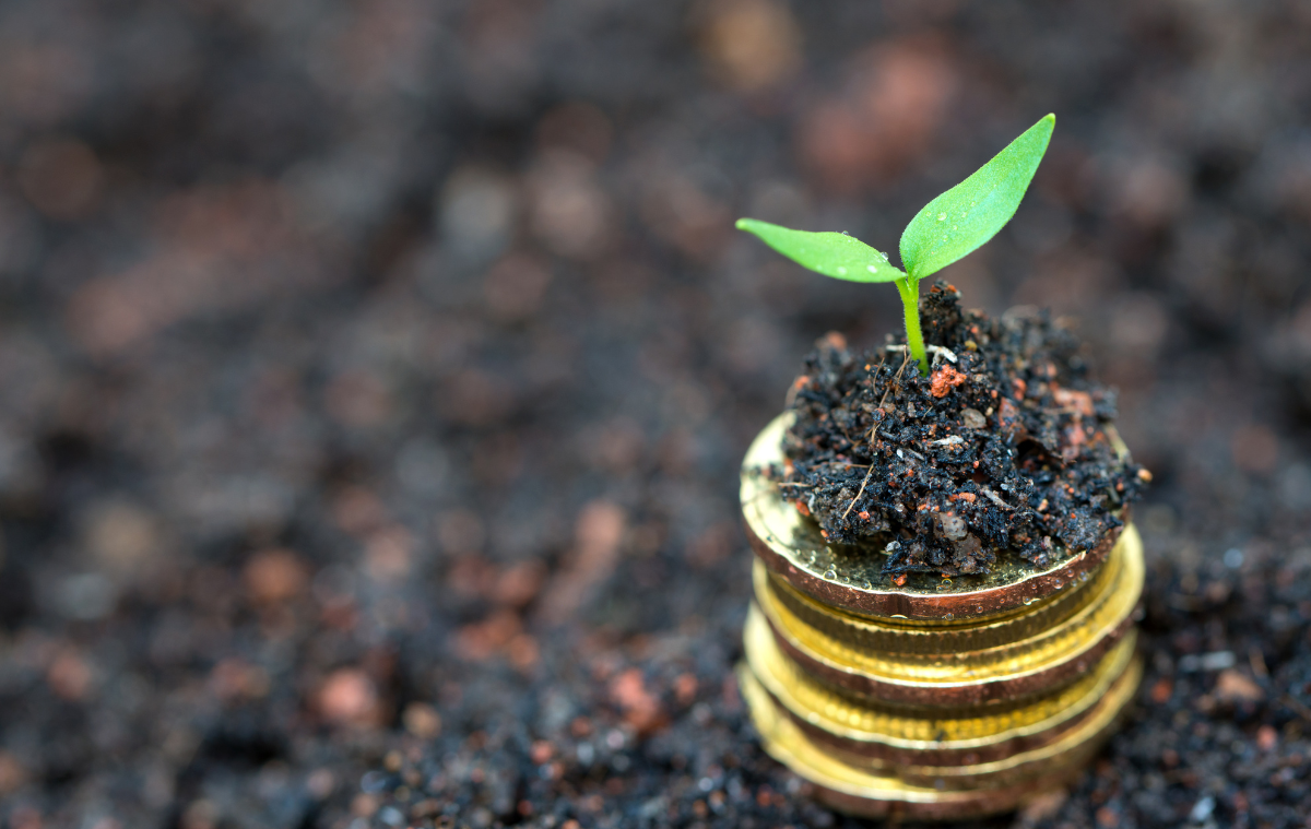 SZK Agrár Beruházási MAX